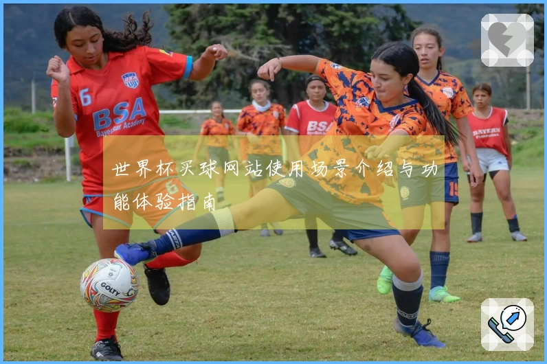 世界杯买球网站使用场景介绍与功能体验指南