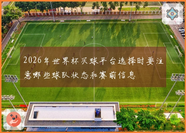 2026年世界杯买球平台选择时要注意哪些球队状态和赛前信息