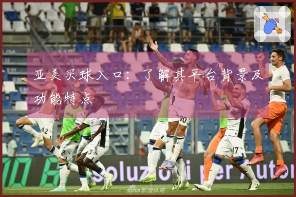 亚美买球入口：了解其平台背景及功能特点