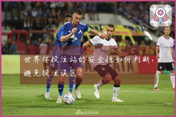 世界杯投注站的安全性如何判断，避免投注误区？