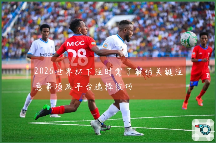 2026世界杯下注时需了解的关键注意事项及平台选择技巧