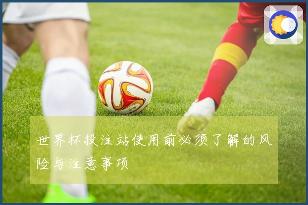 世界杯投注站使用前必须了解的风险与注意事项