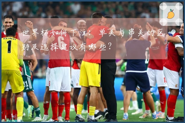 世界杯如何下注：单关与串关的区别及选择建议有哪些？