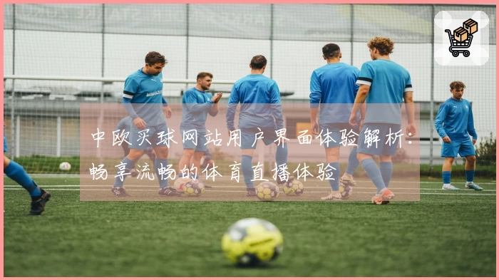 中欧买球网站用户界面体验解析:畅享流畅的体育直播体验