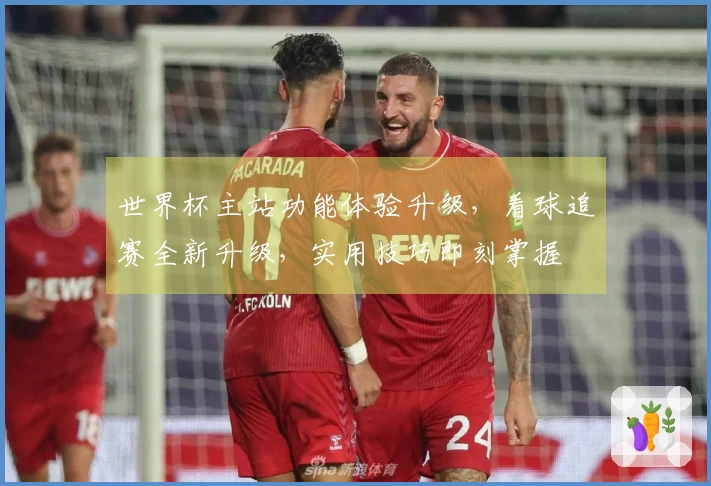 世界杯主站功能体验升级，看球追赛全新升级，实用技巧即刻掌握