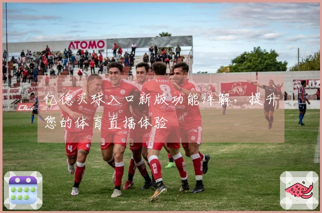 亿德买球入口新版功能详解,提升您的体育直播体验