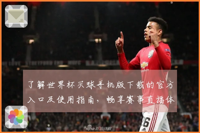 了解世界杯买球手机版下载的官方入口及使用指南，畅享赛事直播体验
