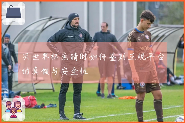 买世界杯竞猜时如何鉴别正规平台的真假与安全性