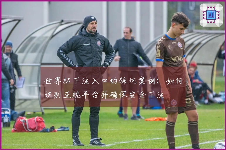 世界杯下注入口的踩坑案例：如何识别正规平台并确保安全下注