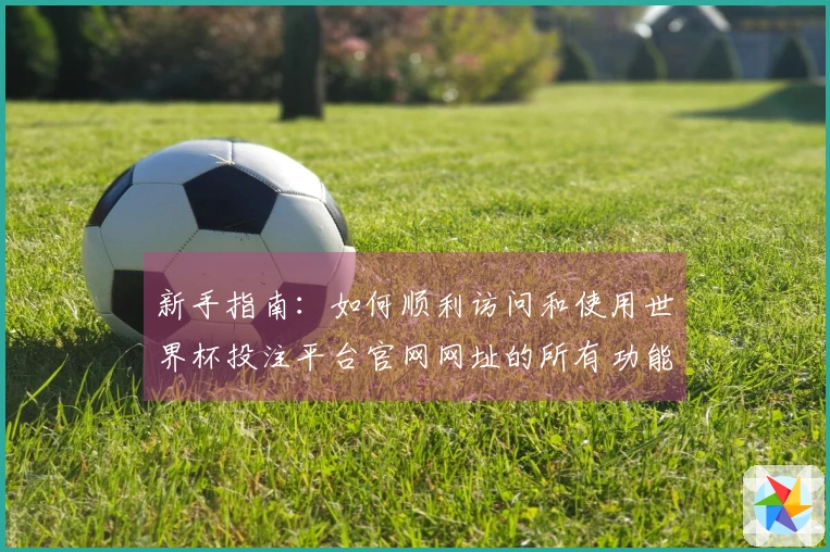 新手指南：如何顺利访问和使用世界杯投注平台官网网址的所有功能