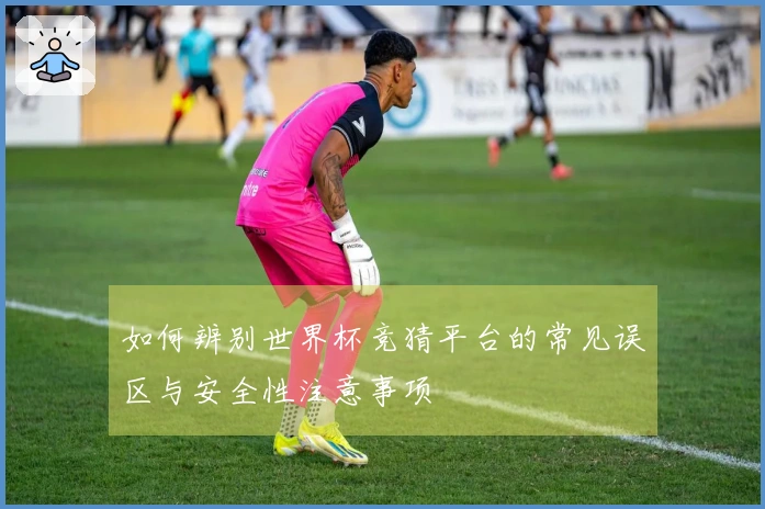 如何辨别世界杯竞猜平台的常见误区与安全性注意事项