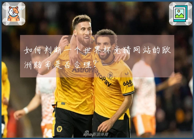 如何判断一个世界杯竞猜网站的欧洲赔率是否合理？