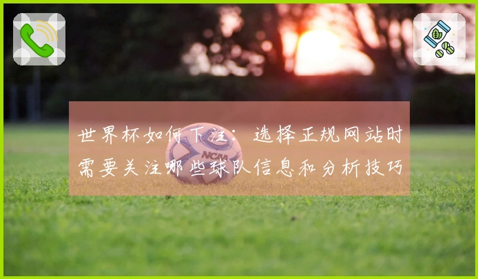 世界杯如何下注：选择正规网站时需要关注哪些球队信息和分析技巧