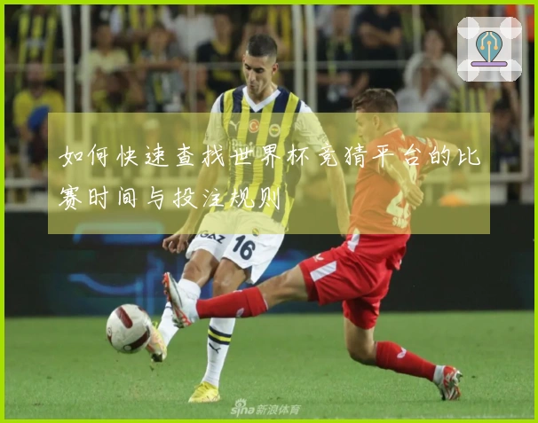 如何快速查找世界杯竞猜平台的比赛时间与投注规则