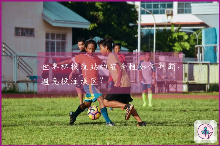 世界杯投注站的安全性如何判断，避免投注误区？