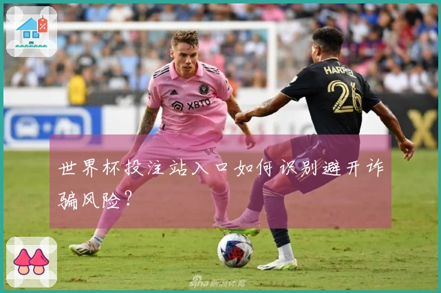 世界杯投注站入口如何识别避开诈骗风险？