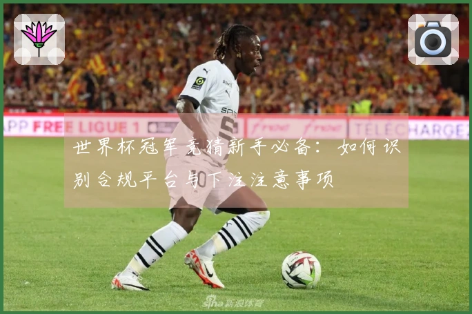 世界杯冠军竞猜新手必备：如何识别合规平台与下注注意事项